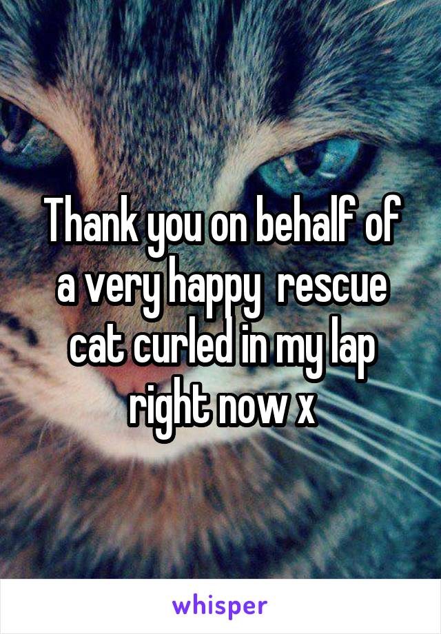 Thank you on behalf of a very happy  rescue cat curled in my lap right now x