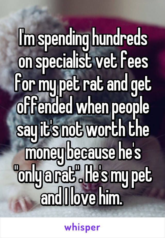 I'm spending hundreds on specialist vet fees for my pet rat and get offended when people say it's not worth the money because he's "only a rat". He's my pet and I love him. 