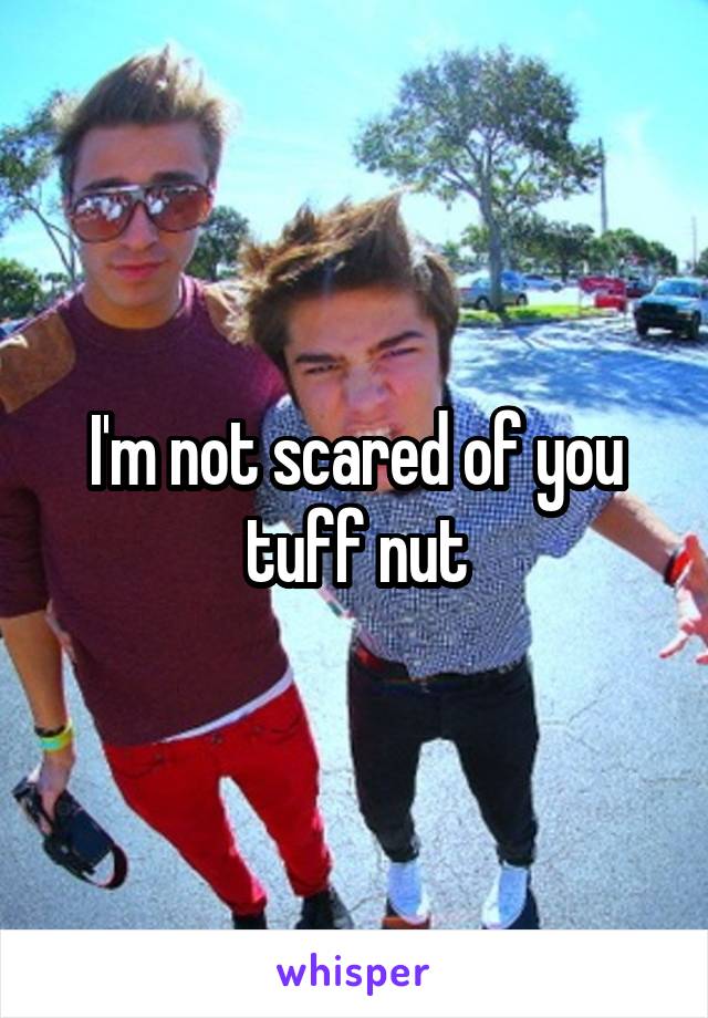 I'm not scared of you tuff nut