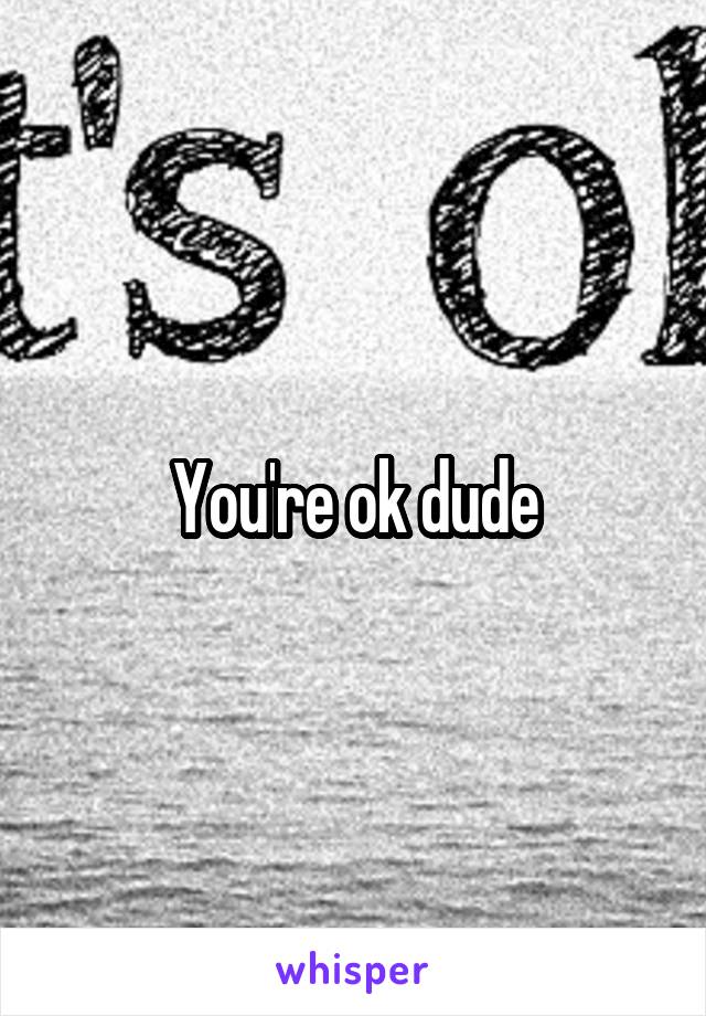 You're ok dude