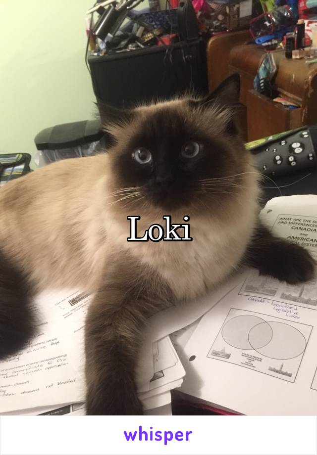 Loki