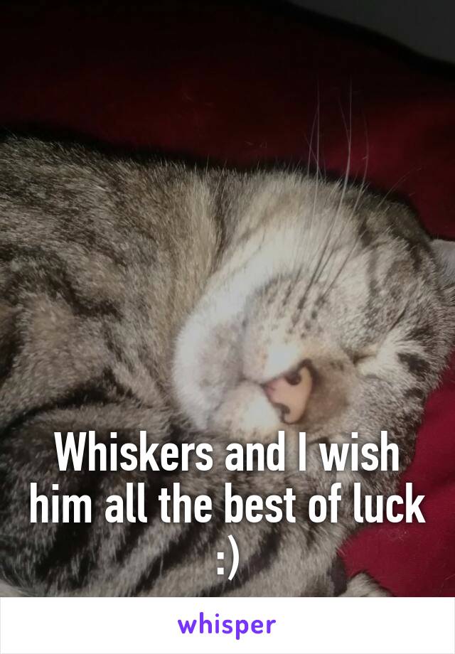 






Whiskers and I wish him all the best of luck :)