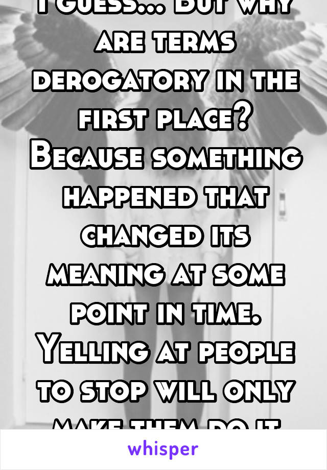 I guess... But why are terms derogatory in the first place? Because something happened that changed its meaning at some point in time. Yelling at people to stop will only make them do it more