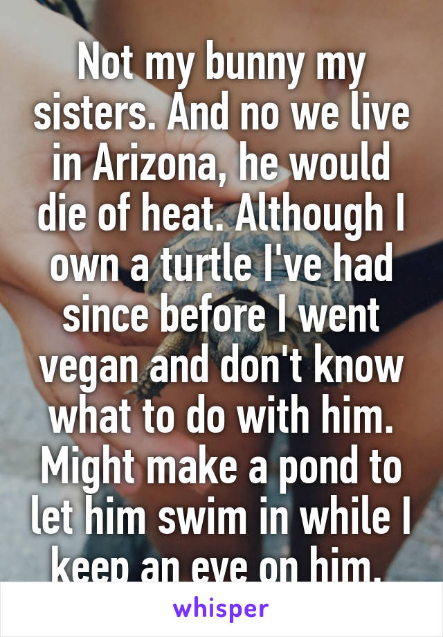 Not my bunny my sisters. And no we live in Arizona, he would die of heat. Although I own a turtle I've had since before I went vegan and don't know what to do with him. Might make a pond to let him swim in while I keep an eye on him. 