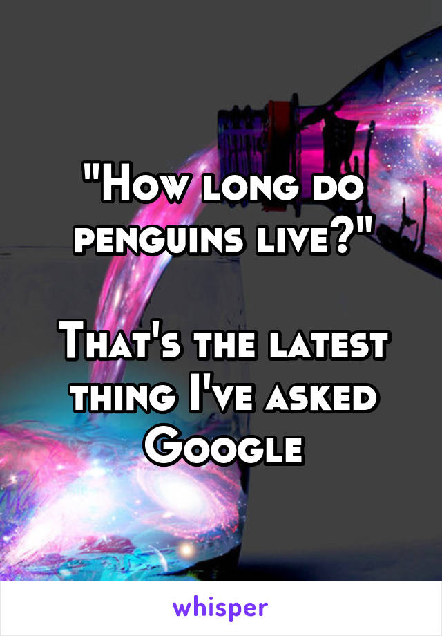 "How long do penguins live?"

That's the latest thing I've asked Google