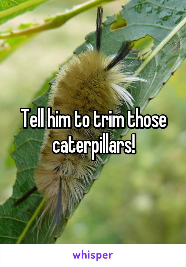 Tell him to trim those caterpillars!