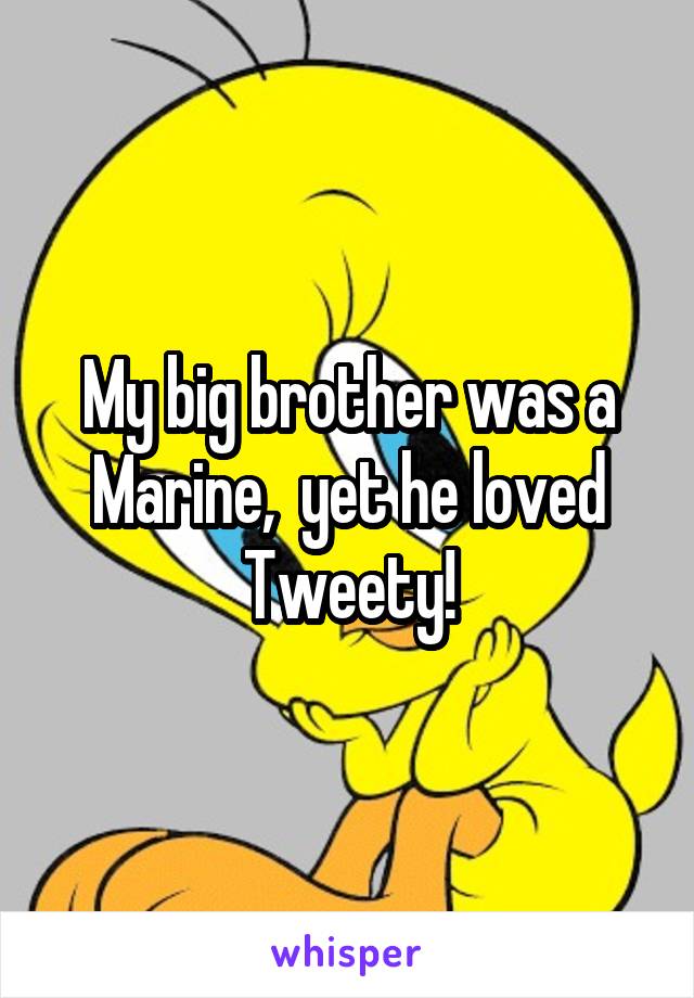 My big brother was a Marine,  yet he loved Tweety!