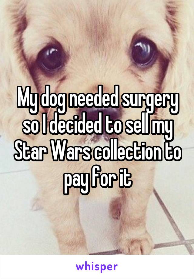 My dog needed surgery so I decided to sell my Star Wars collection to pay for it