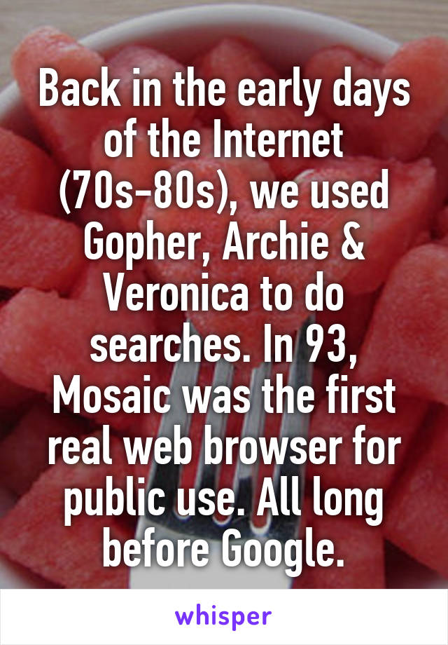 Back in the early days of the Internet (70s-80s), we used Gopher, Archie & Veronica to do searches. In 93, Mosaic was the first real web browser for public use. All long before Google.