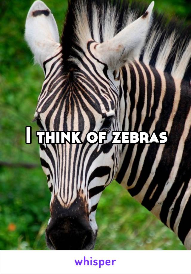 I think of zebras