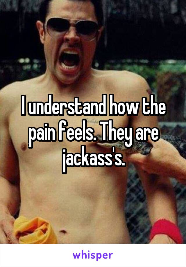 I understand how the pain feels. They are jackass's.