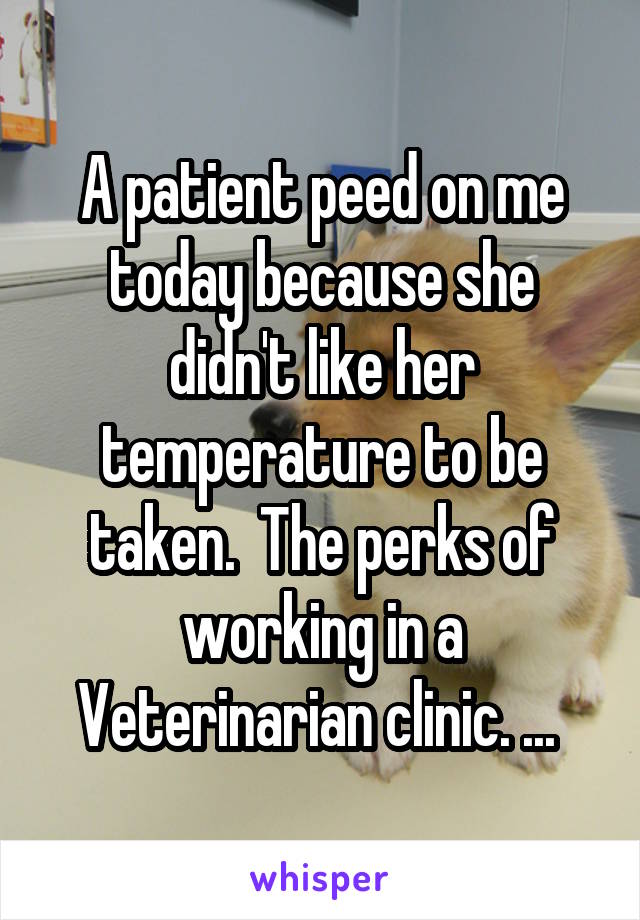 A patient peed on me today because she didn't like her temperature to be taken.  The perks of working in a Veterinarian clinic. ... 
