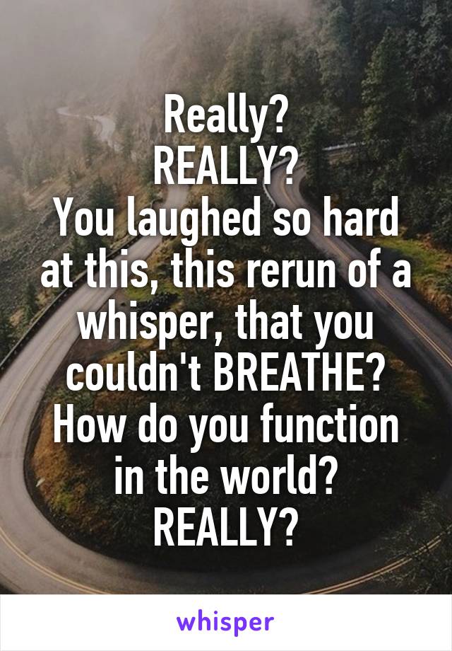 Really?
REALLY?
You laughed so hard at this, this rerun of a whisper, that you couldn't BREATHE?
How do you function in the world?
REALLY?