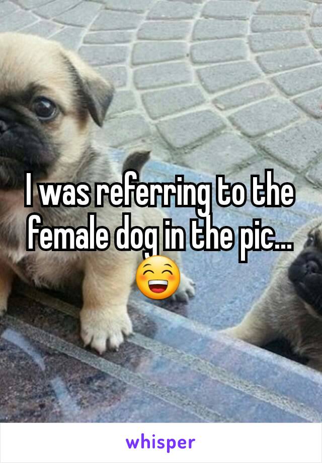 I was referring to the female dog in the pic... 😁 