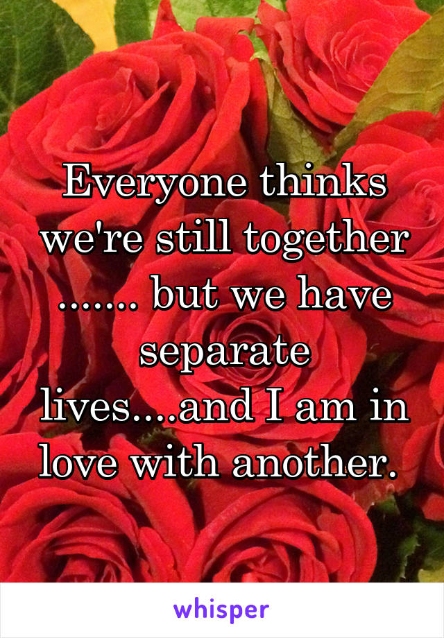 Everyone thinks we're still together ....... but we have separate lives....and I am in love with another. 