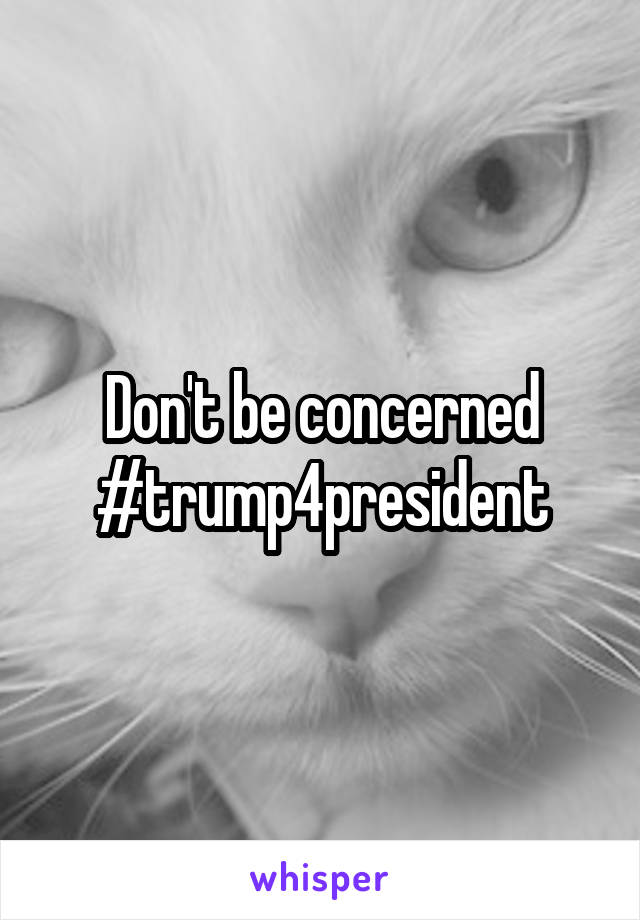 Don't be concerned #trump4president