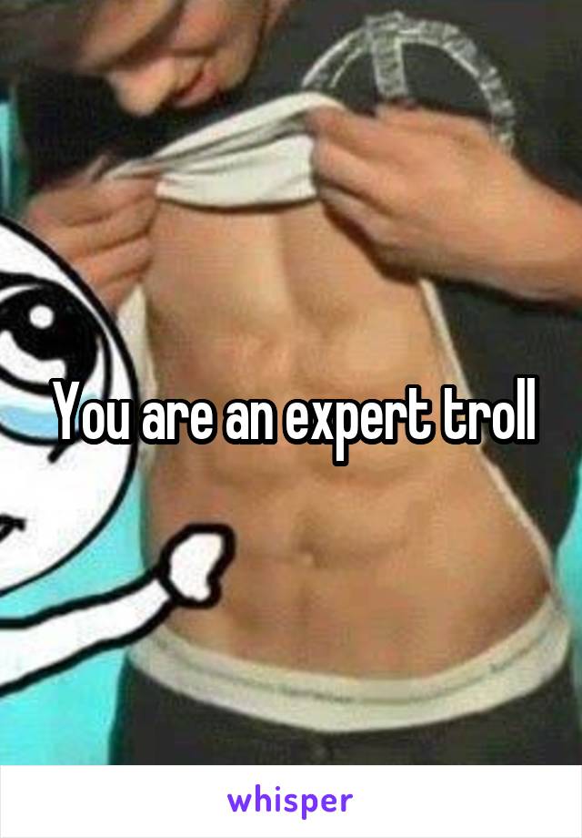 You are an expert troll