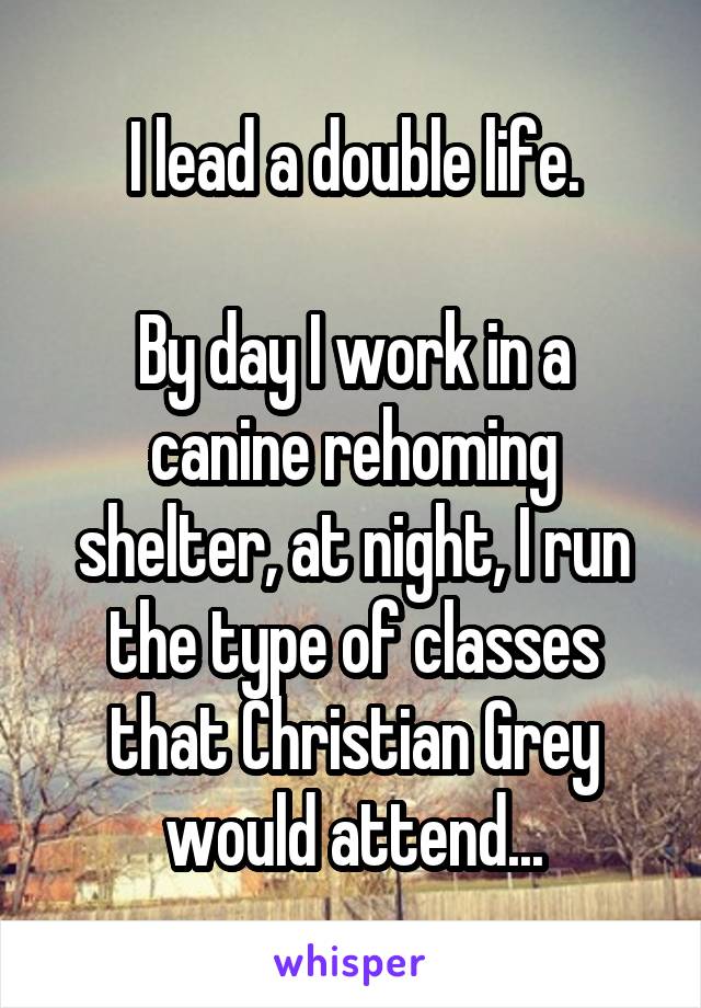I lead a double life.

By day I work in a canine rehoming shelter, at night, I run the type of classes that Christian Grey would attend...
