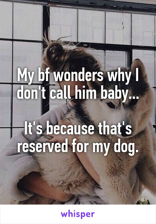 My bf wonders why I don't call him baby...

It's because that's reserved for my dog.