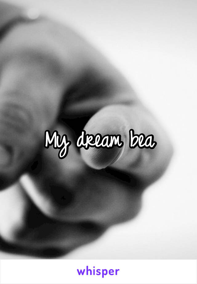 My dream bea