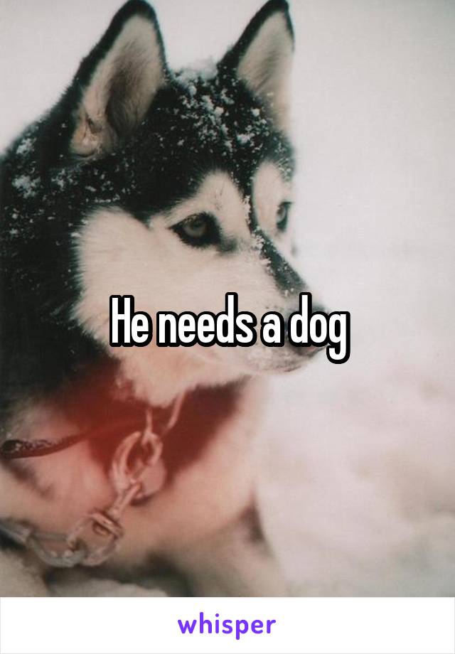 He needs a dog