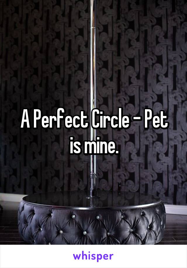 A Perfect Circle - Pet
is mine.