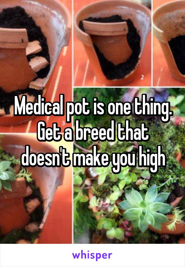 Medical pot is one thing. Get a breed that doesn't make you high