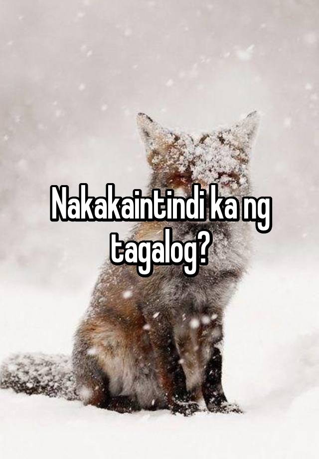 nakakaintindi-ka-ng-tagalog