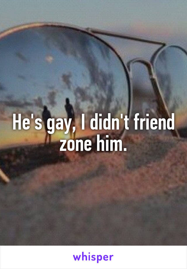 He's gay, I didn't friend zone him.