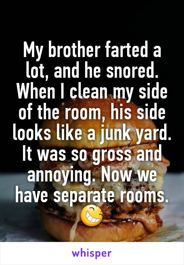 My brother farted a lot, and he snored. When I clean my side of the room, his side looks like a junk yard. It was so gross and annoying. Now we have separate rooms.😆