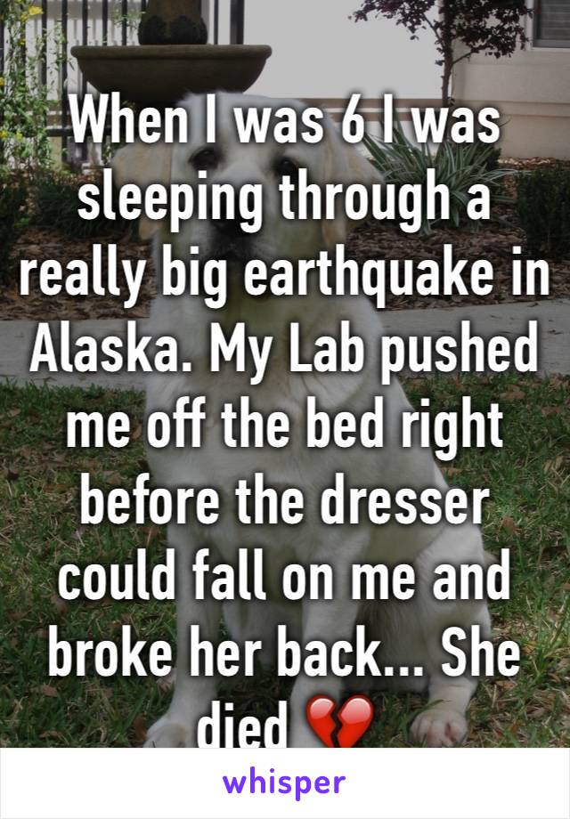 When I was 6 I was sleeping through a really big earthquake in Alaska. My Lab pushed me off the bed right before the dresser could fall on me and broke her back... She died 💔