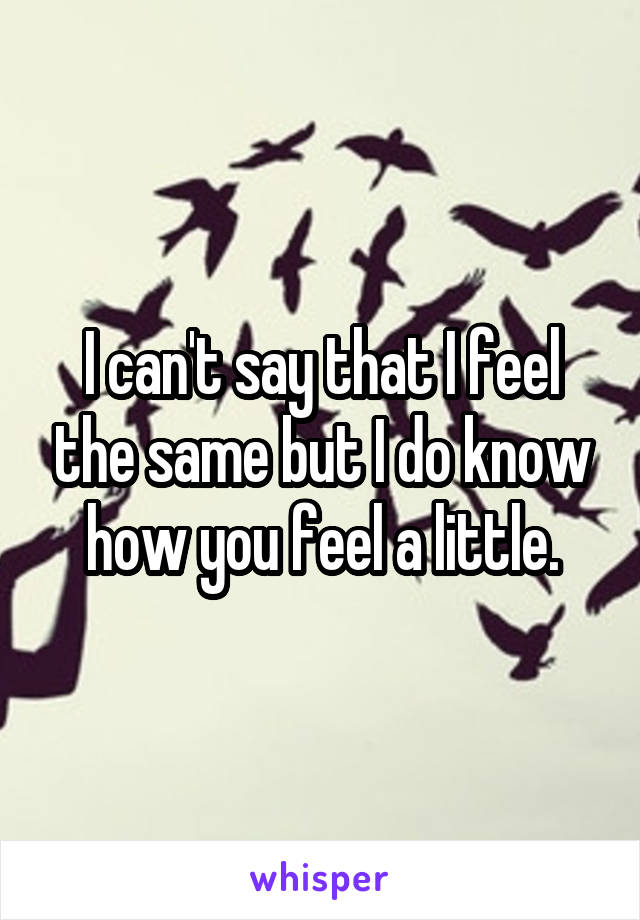 I can't say that I feel the same but I do know how you feel a little.