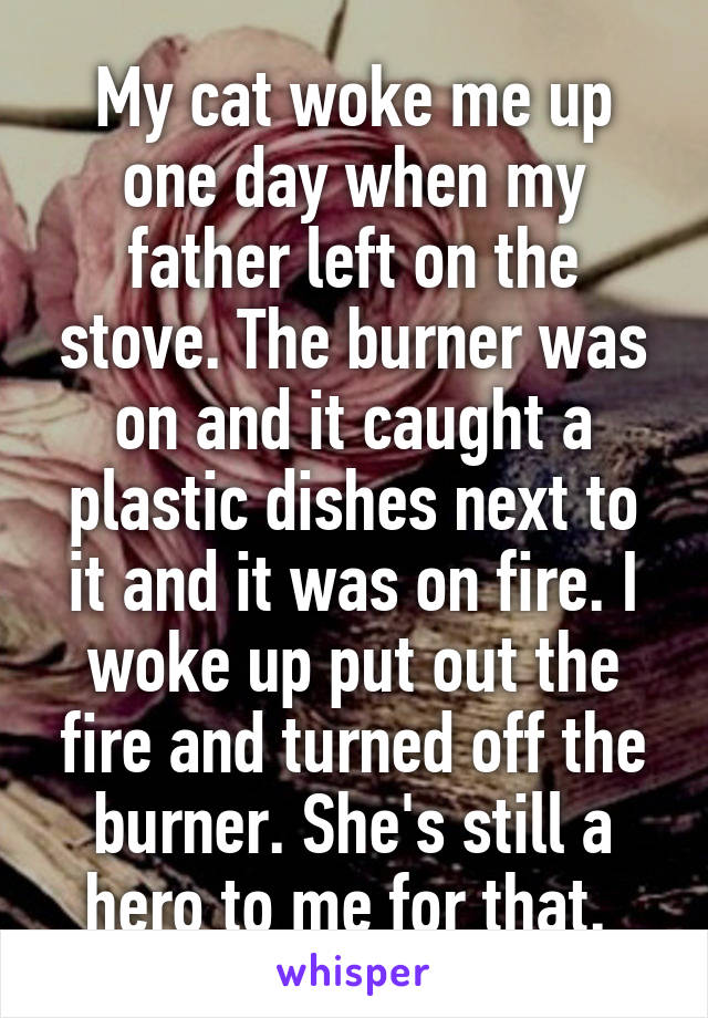 My cat woke me up one day when my father left on the stove. The burner was on and it caught a plastic dishes next to it and it was on fire. I woke up put out the fire and turned off the burner. She's still a hero to me for that. 