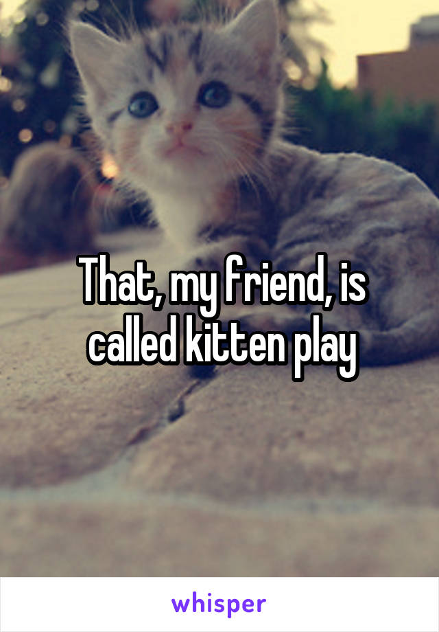That, my friend, is called kitten play