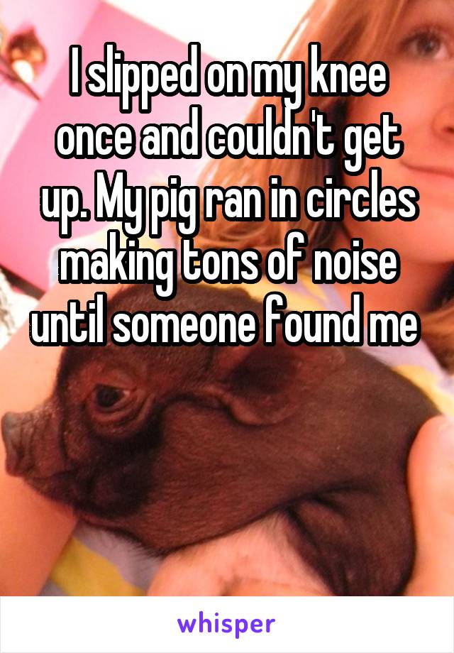 I slipped on my knee once and couldn't get up. My pig ran in circles making tons of noise until someone found me 



