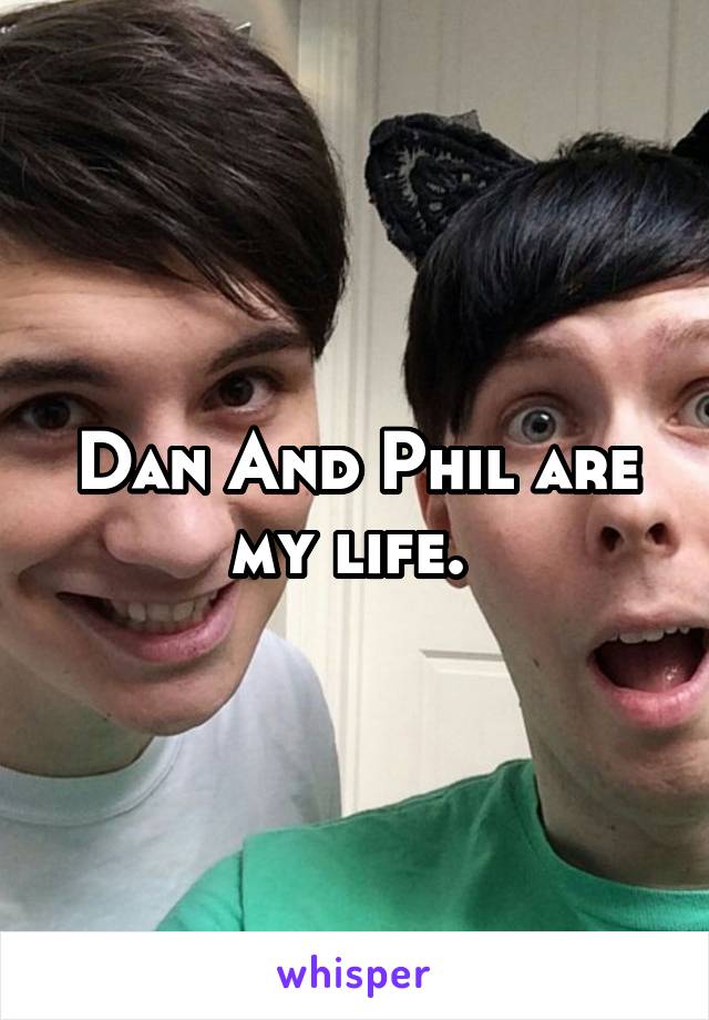 Dan And Phil are my life. 