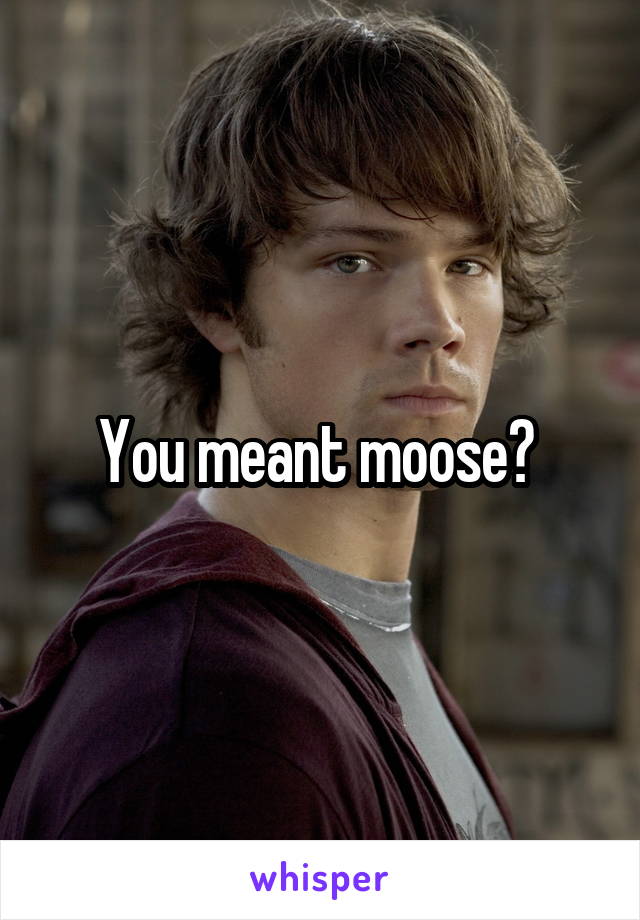 You meant moose? 