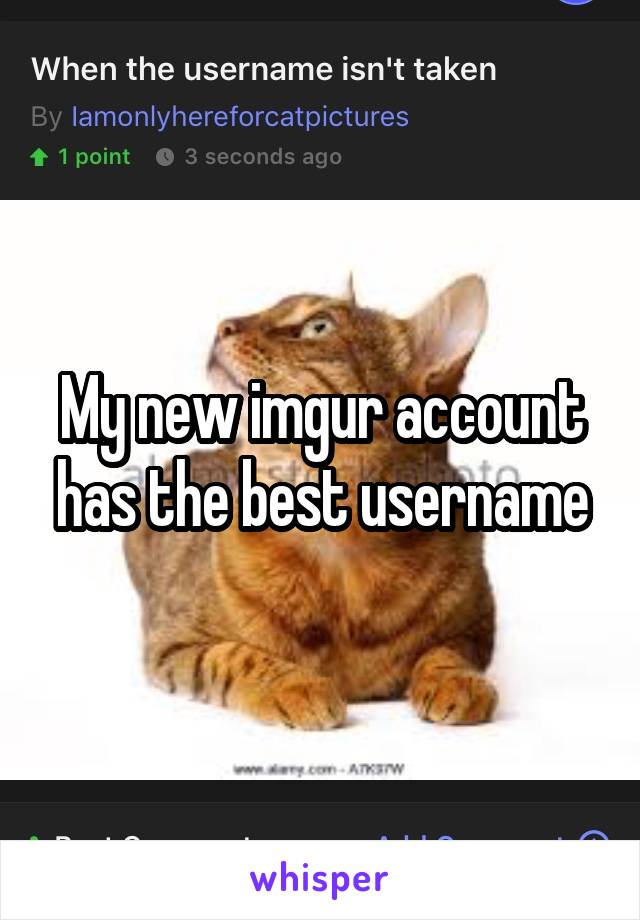 My new imgur account has the best username