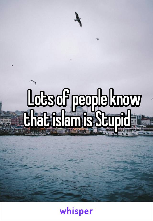      Lots of people know that islam is Stupid