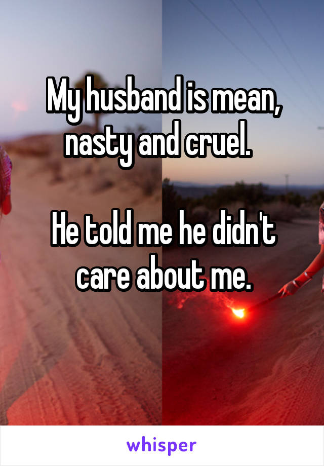 My husband is mean, nasty and cruel.  

He told me he didn't care about me.

