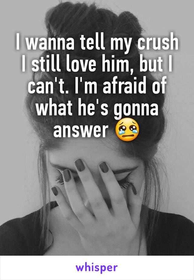 I wanna tell my crush I still love him, but I can't. I'm afraid of what he's gonna answer 😢