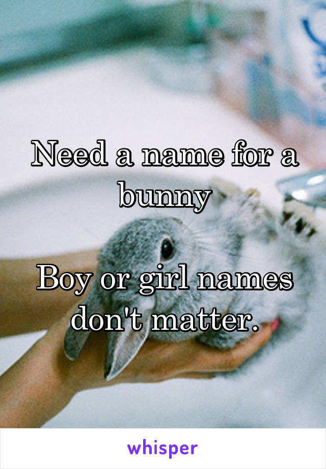 Need a name for a bunny

Boy or girl names don't matter.