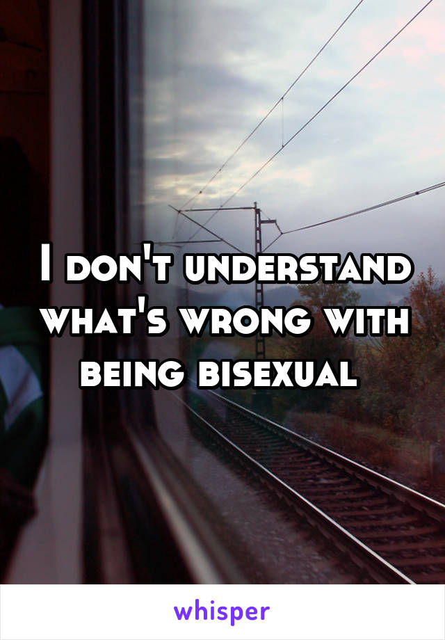 I don't understand what's wrong with being bisexual 