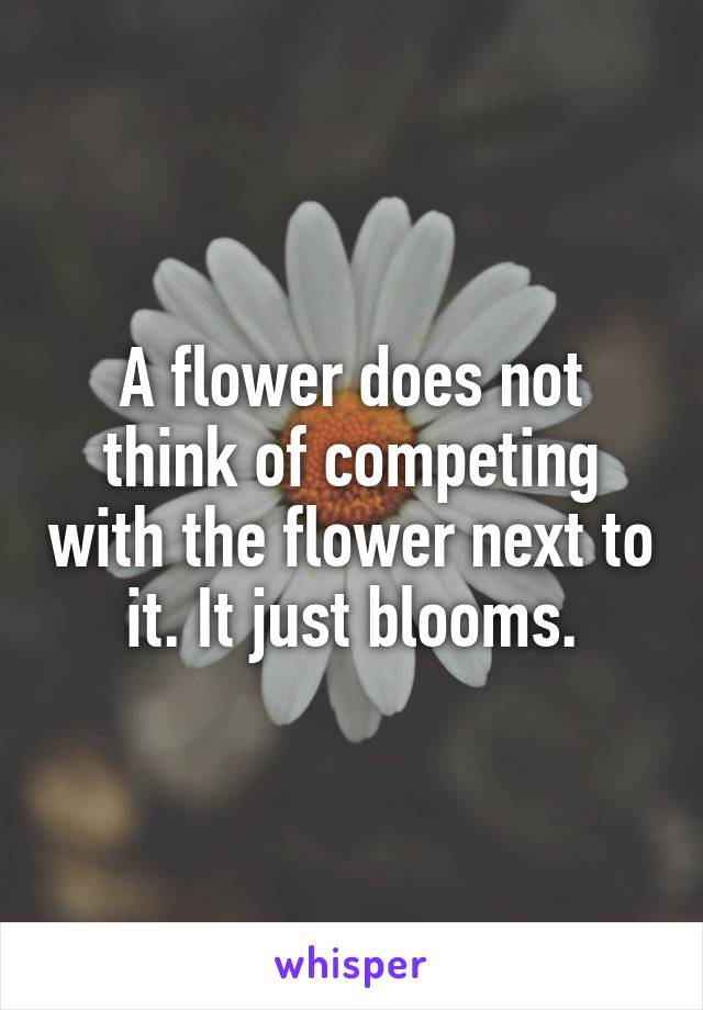 A flower does not think of competing with the flower next to it. It just blooms.