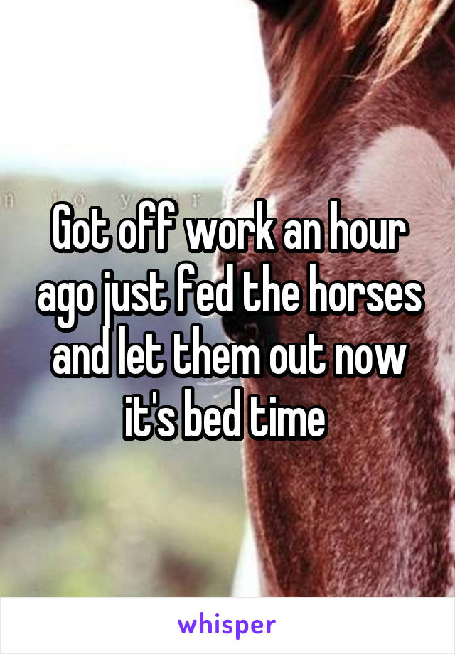 Got off work an hour ago just fed the horses and let them out now it's bed time 