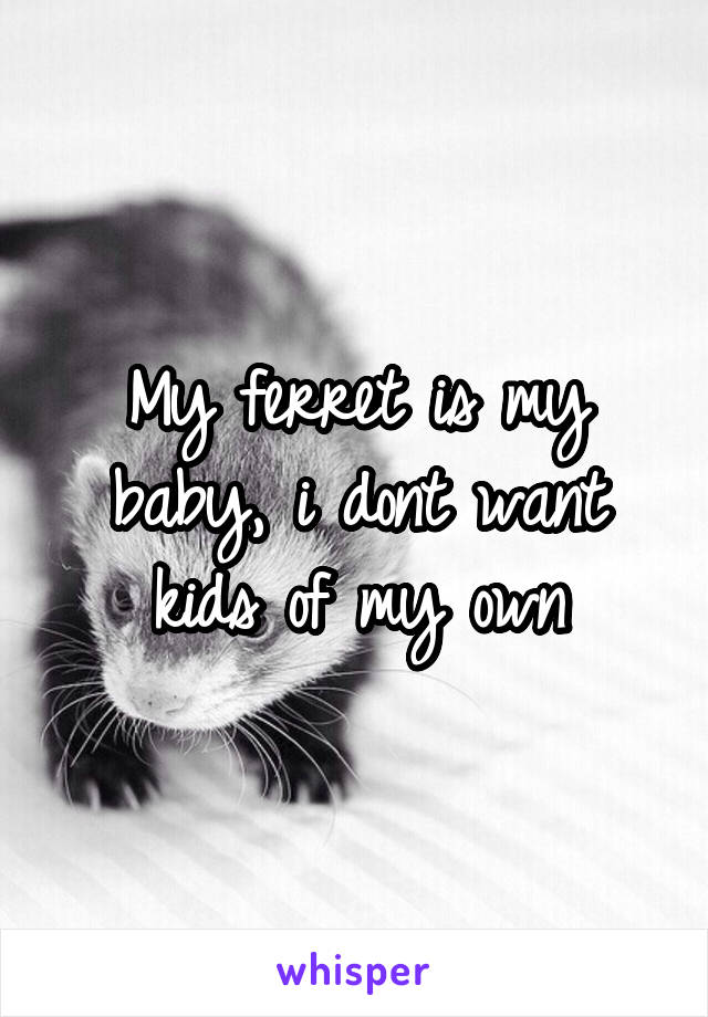 My ferret is my baby, i dont want kids of my own