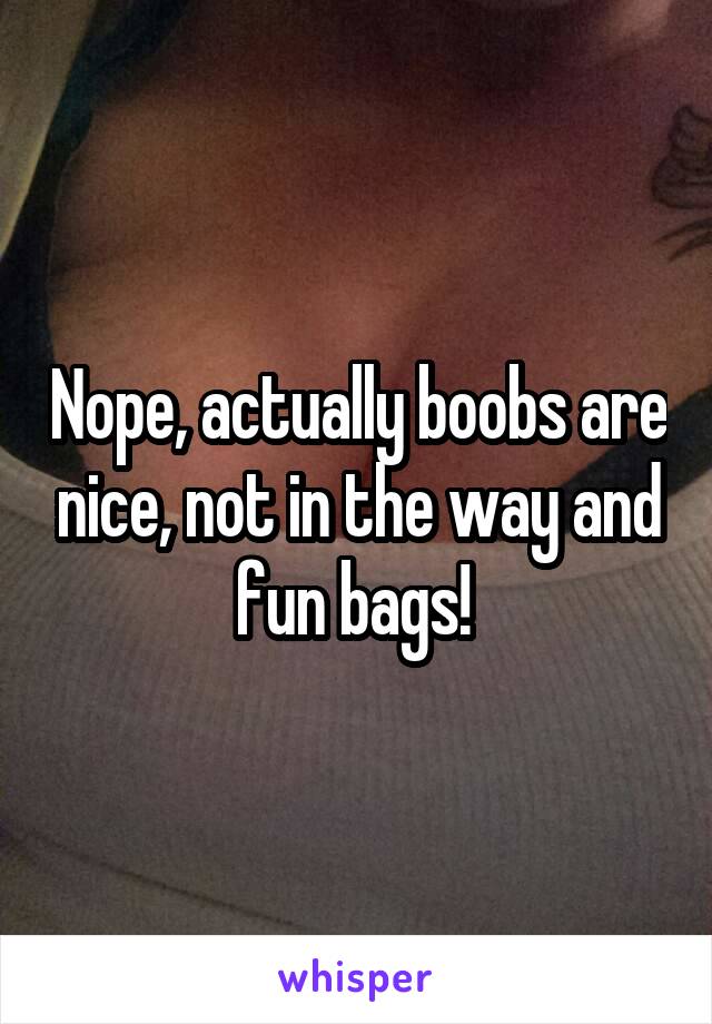 Nope, actually boobs are nice, not in the way and fun bags! 