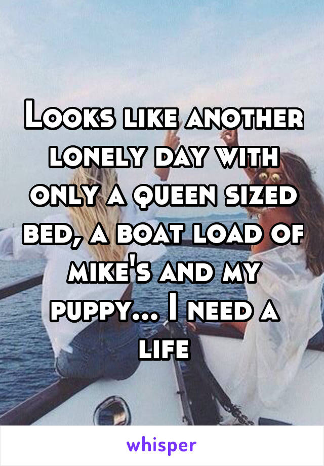 Looks like another lonely day with only a queen sized bed, a boat load of mike's and my puppy... I need a life