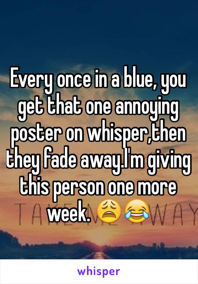 Every once in a blue, you get that one annoying poster on whisper,then they fade away.I'm giving this person one more week. 😩😂