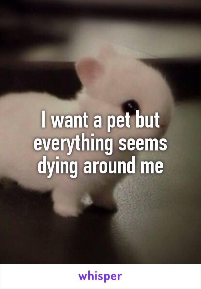 I want a pet but everything seems dying around me